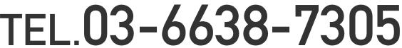 03-6638-7305