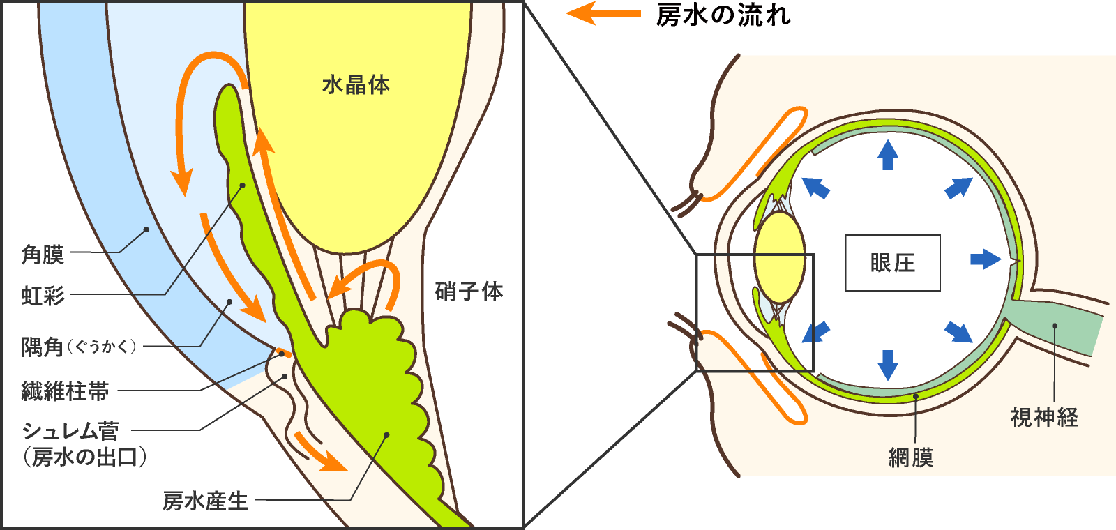 図1