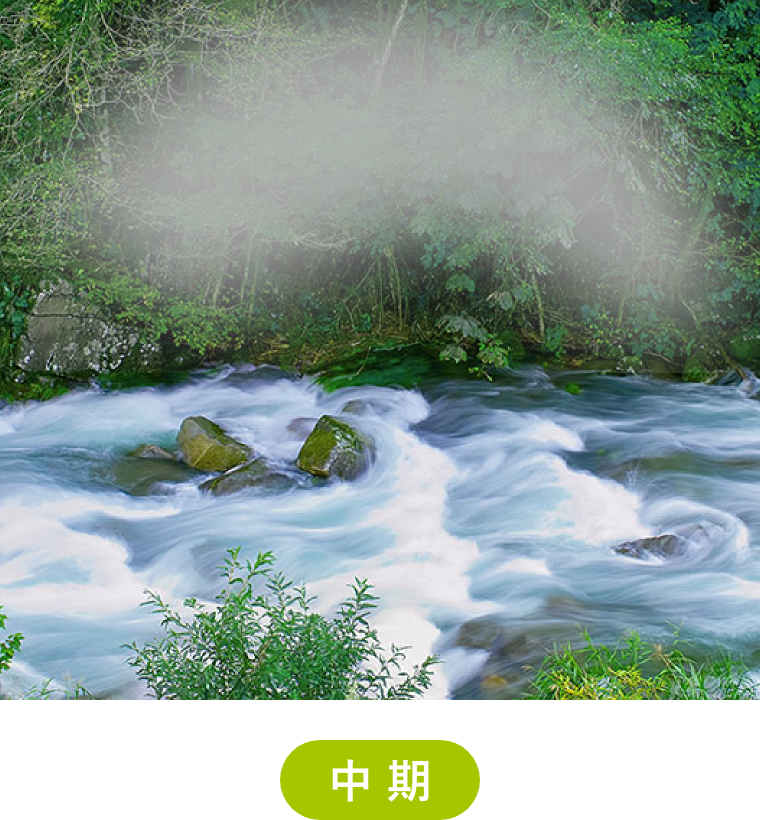 中級