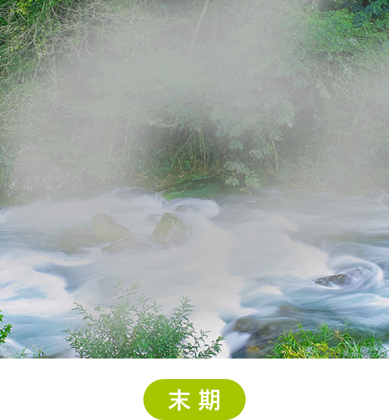 上級